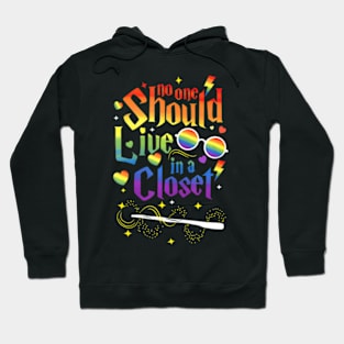 Should Live In A Closet LGBT Gay Pride Hoodie